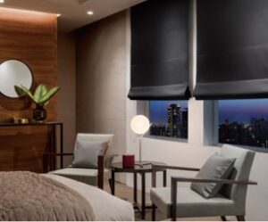 モダンなシェードスタイルの画像